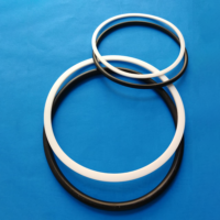 ANEL E BACKUP (NBR E PTFE)